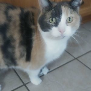 Meet your Posher, Jocelyne